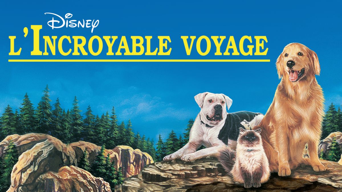 l'incroyable voyage film complet youtube