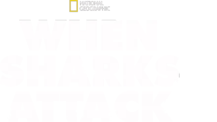 When Sharks Attack