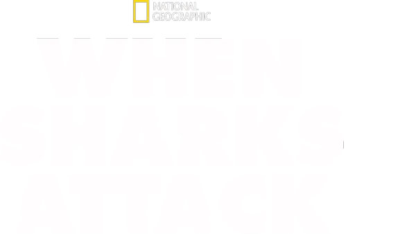 Quand les requins attaquent