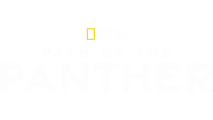 Path of the Panther