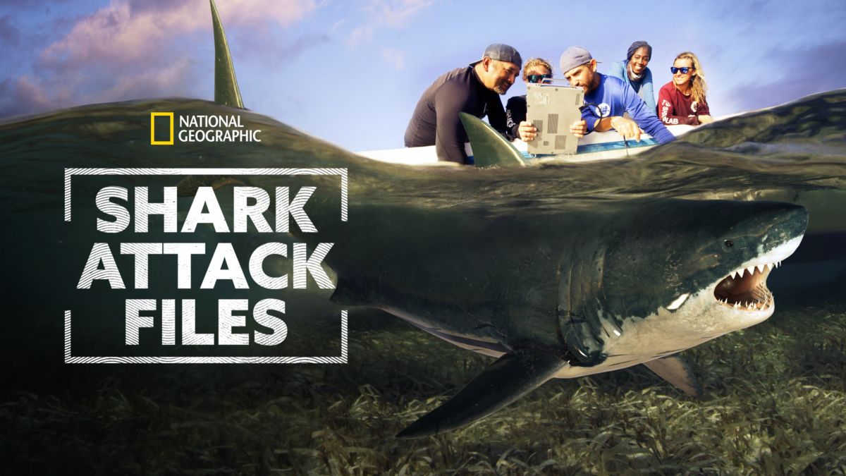 all shark attacks
