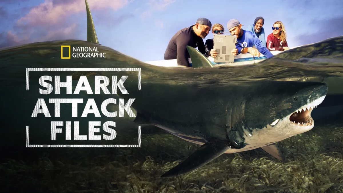 Watch Shark Attack Files