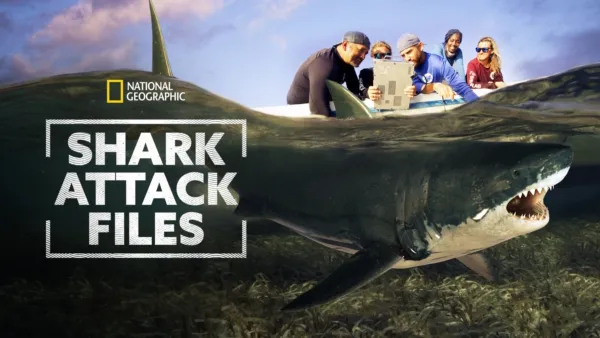 thumbnail - Os Ficheiros Dos Ataques De Tubarão