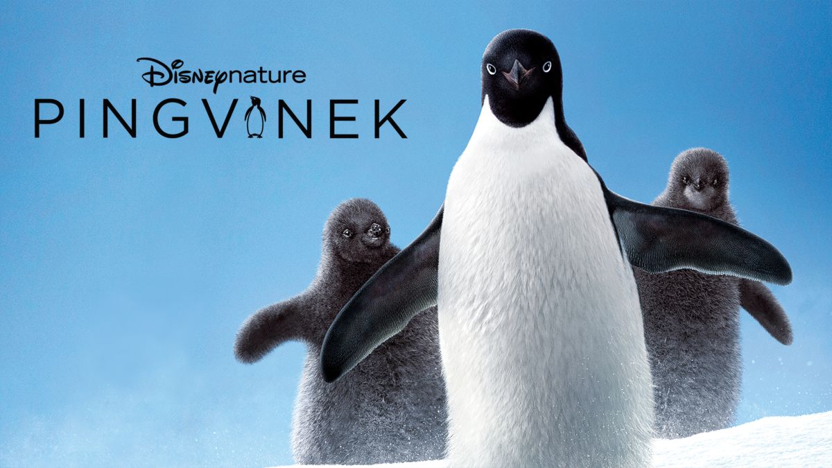 Pingvinek | Disney+