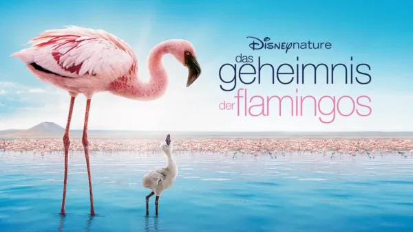 thumbnail - Das Geheimnis der Flamingos