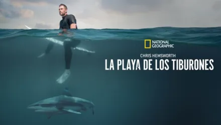 thumbnail - Chris Hemsworth: La playa de los tiburones