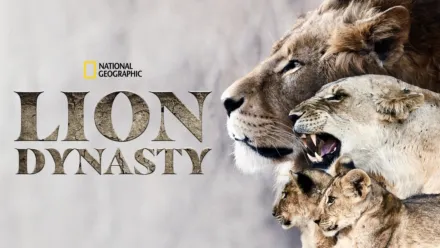 thumbnail - Lion Dynasty