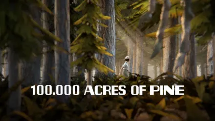 thumbnail - 100,000 Acres of Pine