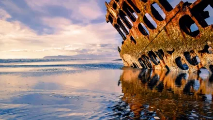 Trésors sous les mers