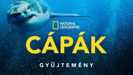 thumbnail - National Geographic – cápák