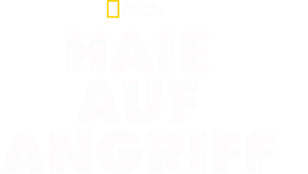 Haie auf Angriff