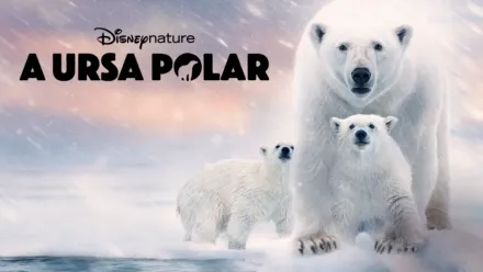 thumbnail - A Ursa Polar