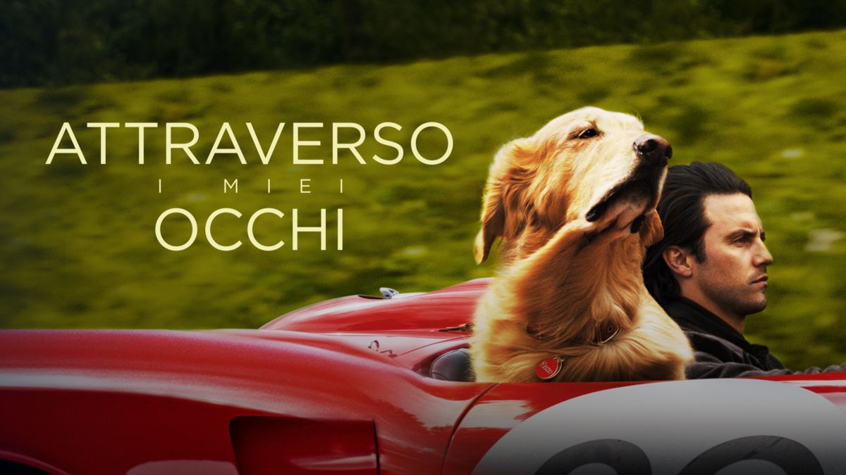 Film Attraverso I Miei Occhi Dove Vederlo