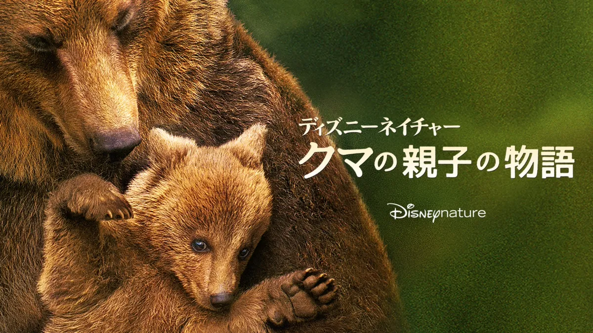 ディズニーネイチャー／クマの親子の物語を視聴 | Disney+(