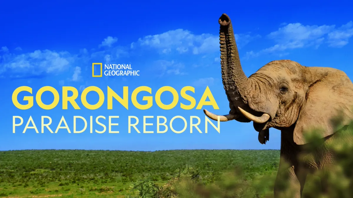 Se Gorongosa: Paradise Reborn | Disney+