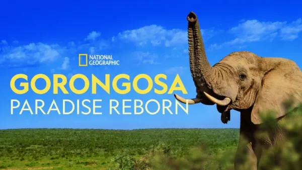 thumbnail - Gorongosa: Paradise Reborn