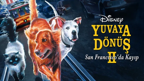 thumbnail - Yuvaya Dönüş II: San Francisco'da Kayıp