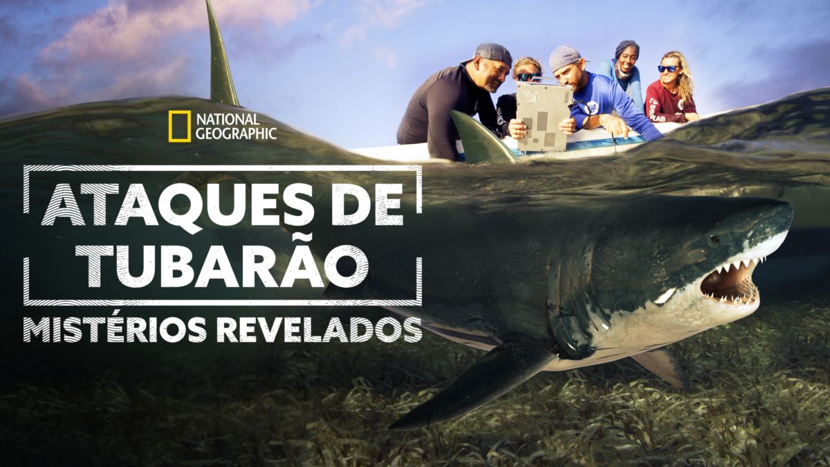 Alerta! Temporada de Tubarões (2023) Lannée du requin APPLE TV+