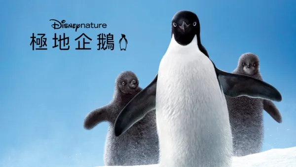 thumbnail - 極地企鵝