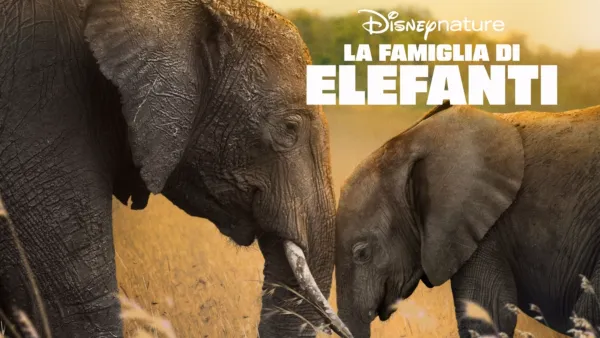 thumbnail - La famiglia di elefanti