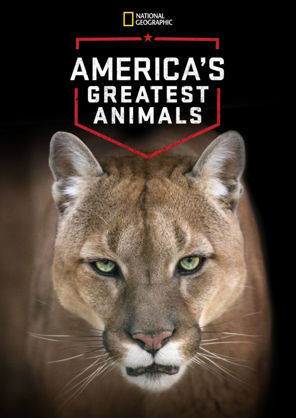 America's Greatest Animals on Disney+ CA