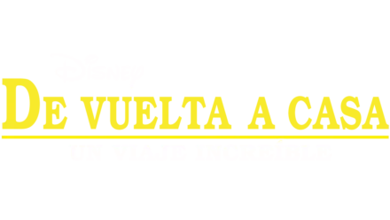 De vuelta a casa: un viaje increíble