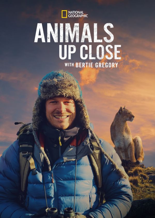 Animals Up Close with Bertie Gregory on Disney+ NL