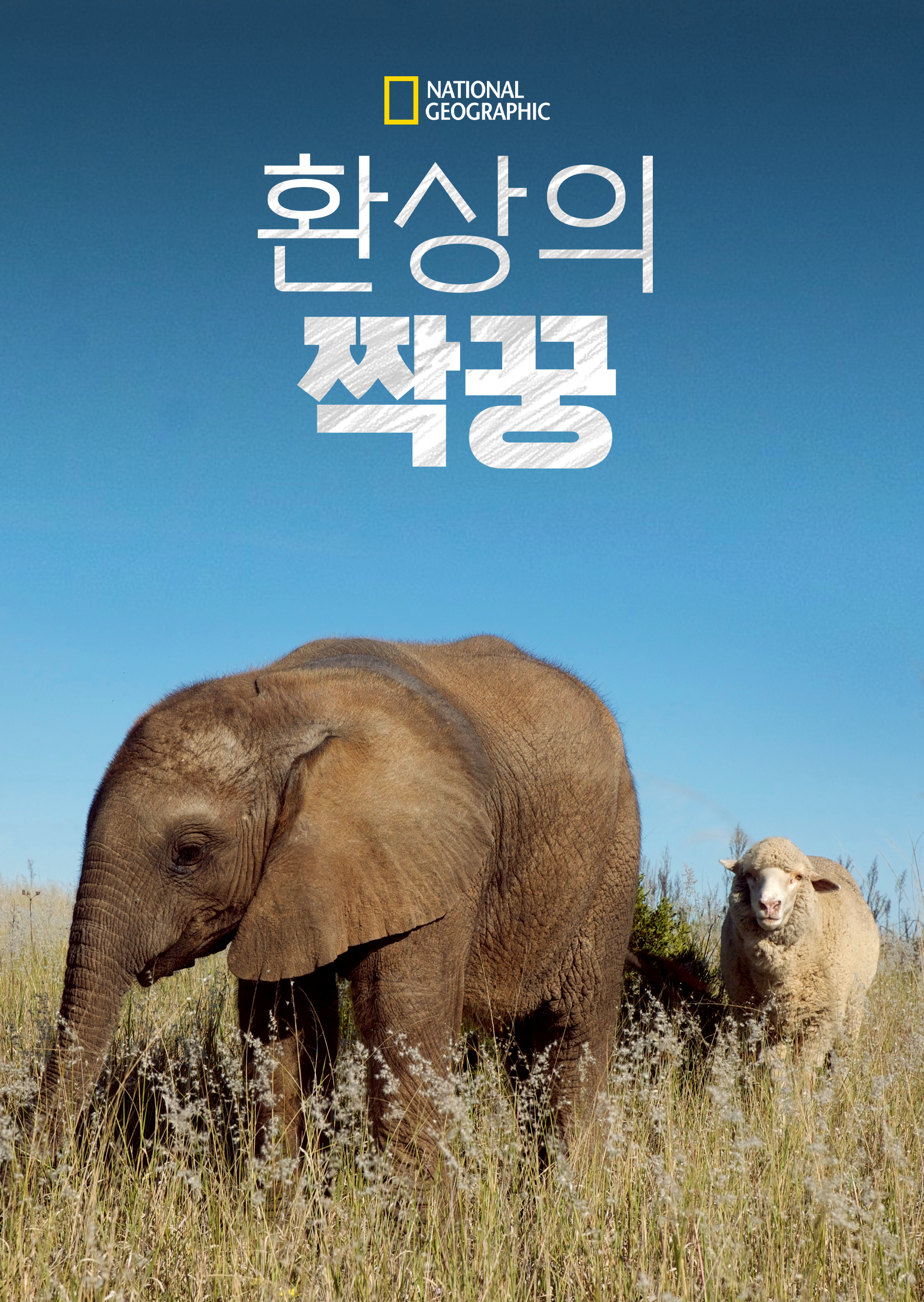 환상의 짝꿍