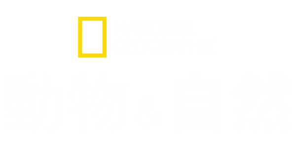 ナショナル ジオグラフィック：動物＆自然 Title Art Image