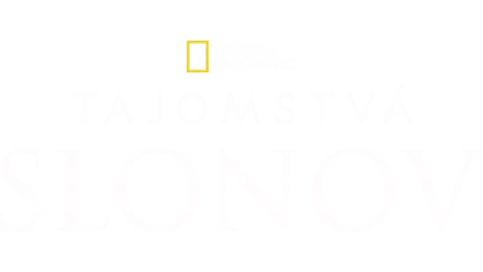 Tajomstvá slonov