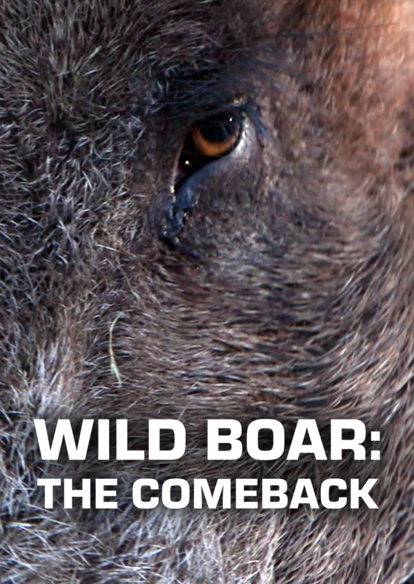 Wild Boar: The Comeback on Disney+ ES