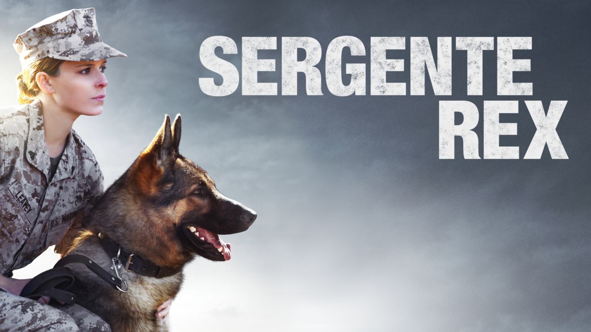 Sergente Rex Il Cane Muore Nel Film