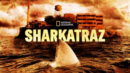 thumbnail - Sharkatraz (Television) (2016)