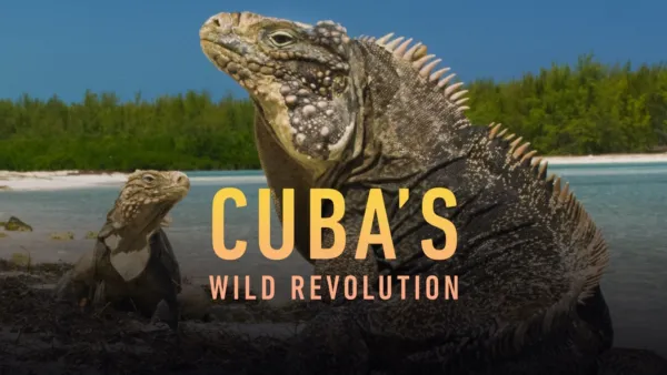 thumbnail - Cuba's Wild Revolution