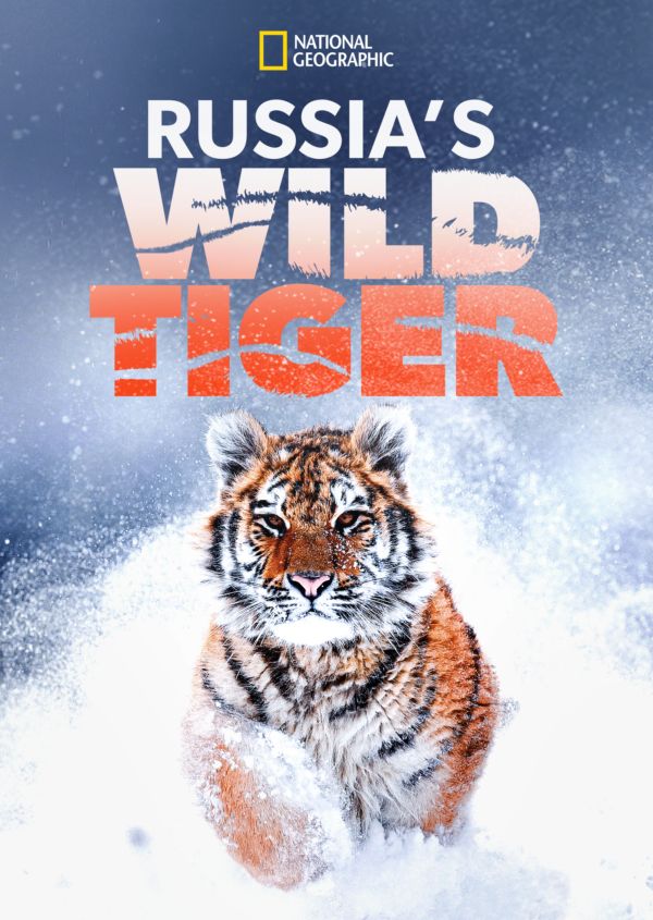 Russia's Wild Tiger on Disney+ AU