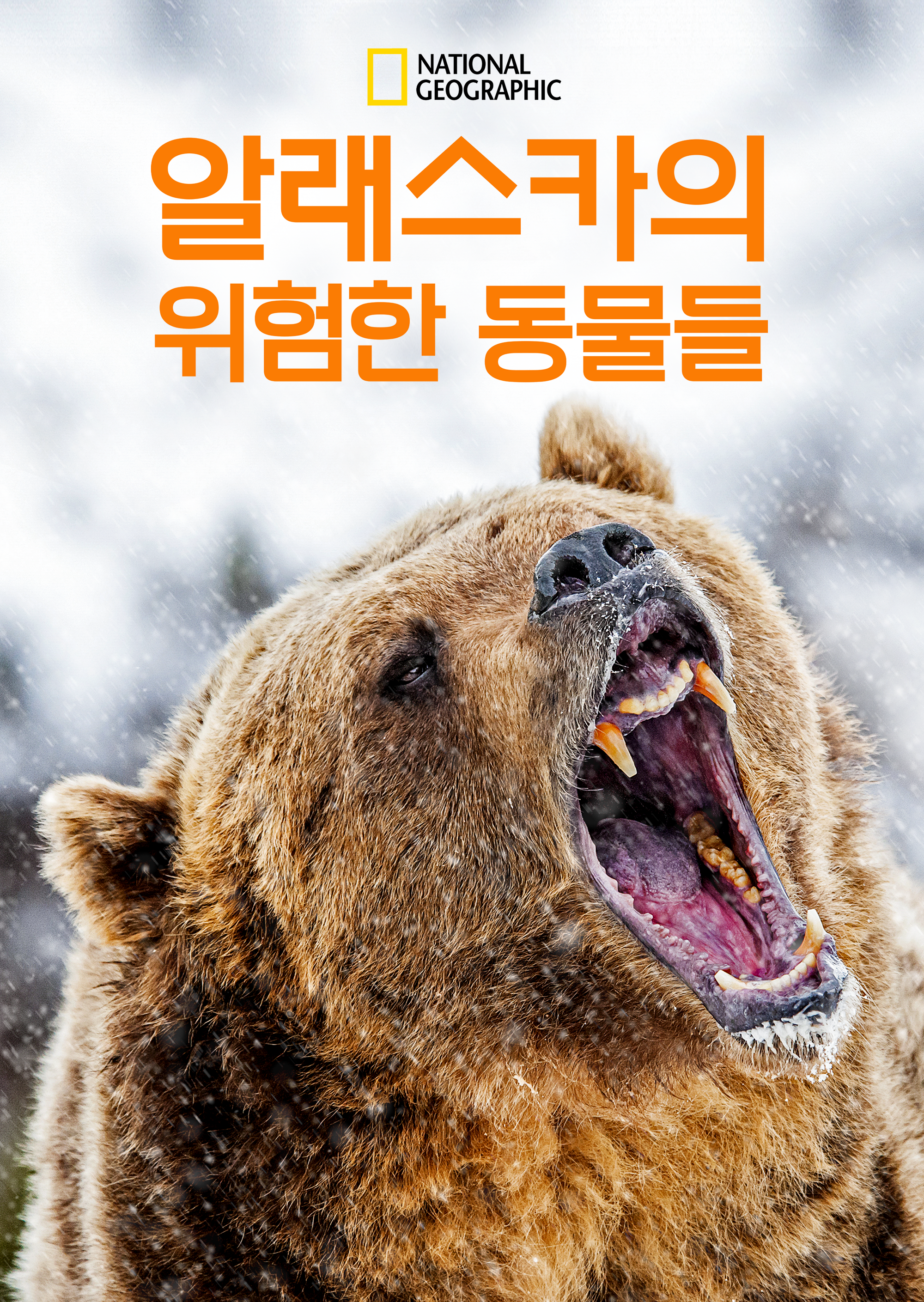 알래스카의 위험한 동물들