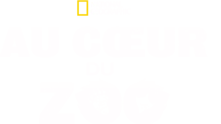 Au cœur du Zoo