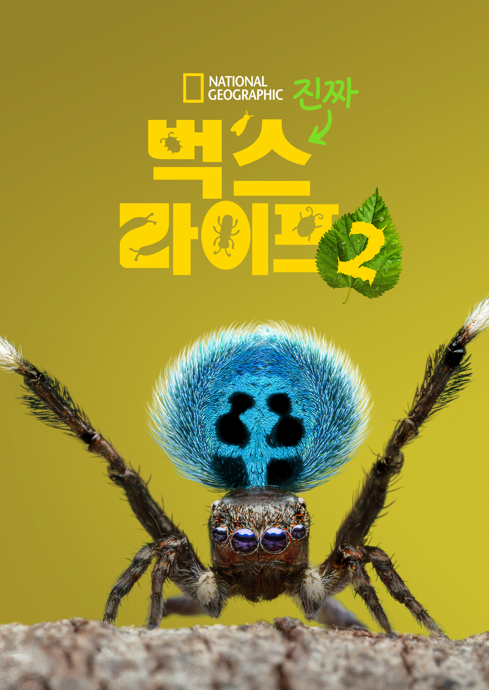 진짜 벅스 라이프 시즌2