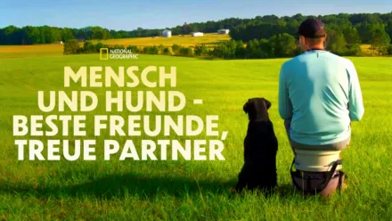 thumbnail - Mensch und Hund - Beste Freunde, treue Partner