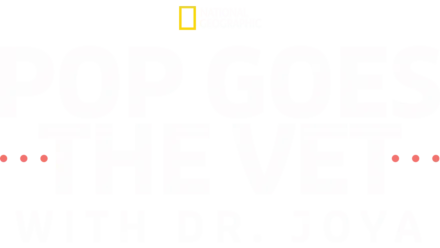 Pop Goes the Vet with Dr. Joya