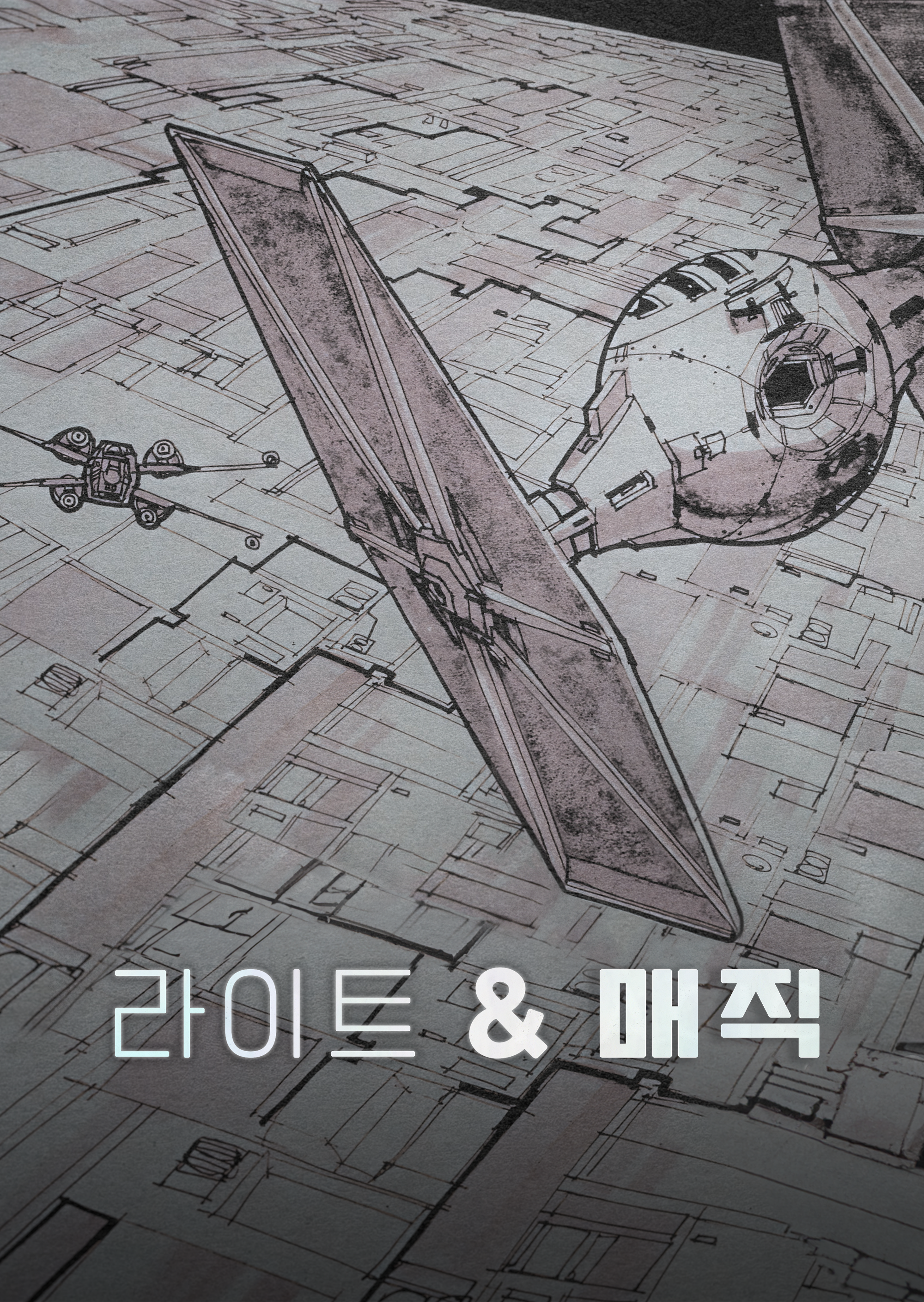라이트 & 매직