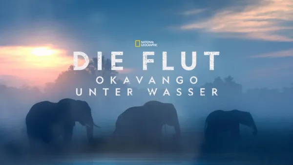 thumbnail - Die Flut - Okavango unter Wasser