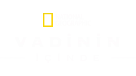 Vadinin İçinde