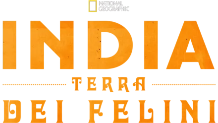 India: Terra Dei Felini