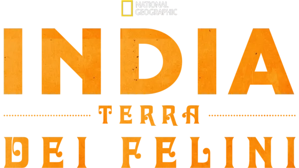 India: Terra Dei Felini