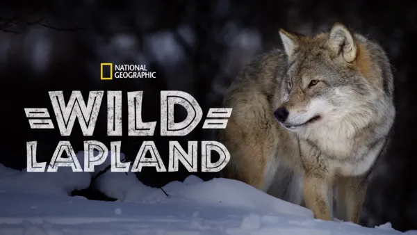 thumbnail - Wild Lapland