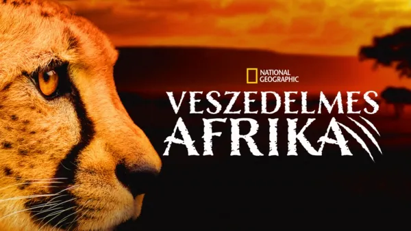 thumbnail - Veszedelmes Afrika