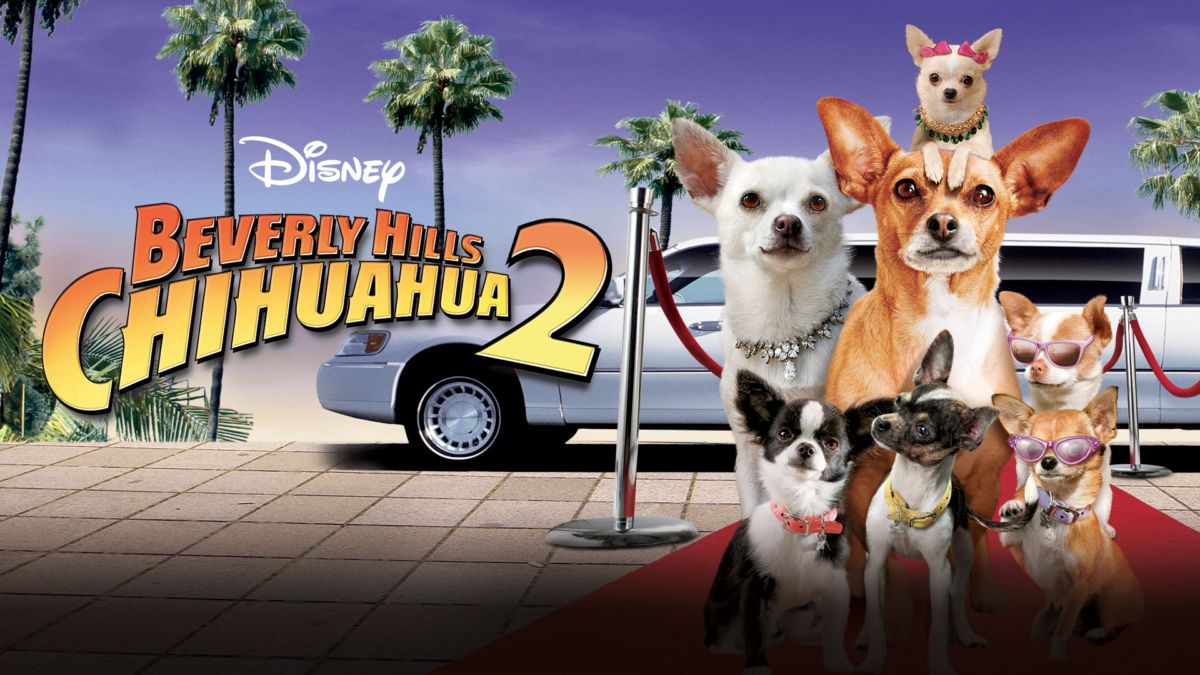 is there a beverly hills chihuahua 2