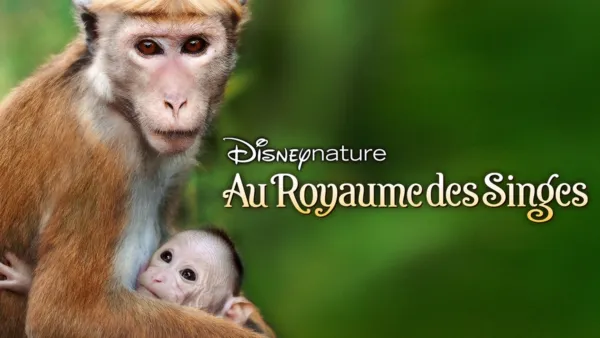 thumbnail - Disneynature: Au royaume des singes