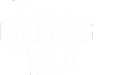 Growing Up Wild